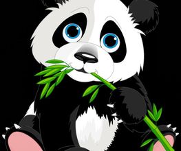 Panda-Hosting.de Logo