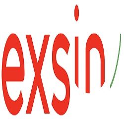 Logo met de tekst "exsin" in rood, met een groene, gebogen lijn aan de rechterkant.