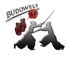 Zwei Kämpfer im Silhouetten-Stil, Boxhandschuhe und der Text "Budowelt Havel" im Hintergrund.