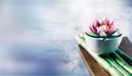 Weiße Schale mit rosa Lotusblüte auf Bambusstäben, unscharfer Hintergrund.