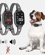 Elektronische Halsbänder und ein Hund mit einem solchen Halsband, Symbol für Schalldämpfung.