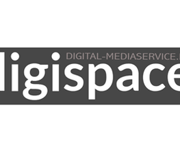 DIGISPACE Logo