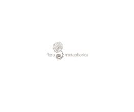 Logo mit Text "flora metaphorica" und stilisierten Blumen in Grau auf weißem Hintergrund.
