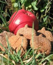 Äpfelchen Hundeleckerlis