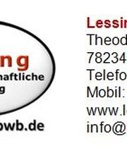Lessing, betriebswirtschaftliche Beratung Logo