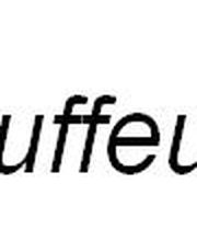 lauffeuer-chemnitz.de Logo