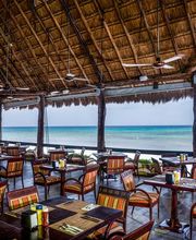 Restaurante frente al mar con techo de palapa, sillas y mesas vacías; vista de la playa.