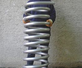 rohrschlange