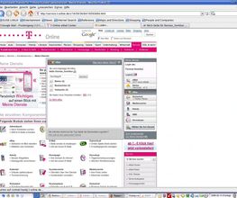 2009-02-13T1345_t-online-dienste_thomashomilius.png