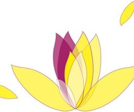 Naturheilpraxis Logo