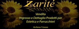 Zaritè, vendita prodotti per estetica e parrucchieri. Decorato con girasoli. Via Roma 7, Carrara.