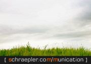Wiese unter bewölktem Himmel, Text im Bild: "schraepfer.com/munication".
