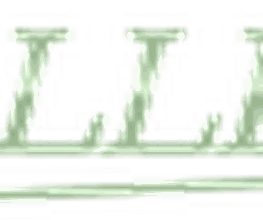 https://www.belleso.com/ Logo