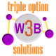 Logo with "triple option solutions" and "W3B" connected by purple nodes and yellow lines.