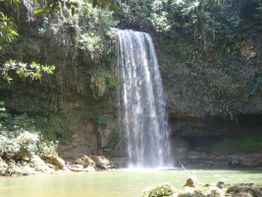 Wasserfall im Wald, der in einen ruhigen, grünen Teich fließt, umgeben von üppiger Vegetation.