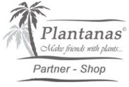 Logo mit Palme, Text: "Plantanas, Make friends with plants, Partner - Shop".