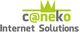 Logo von Caneko Internet Solutions in Grün und Grau mit stilisierter Krone über dem "n".