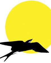 Patientenfahrdienst Schwalb Logo