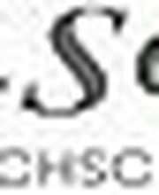 LSC Sprachschule Logo