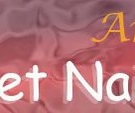 Sunset-Nails Logo