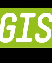 Bogisch Logo