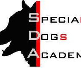 Special Dogs Academy UG Logo