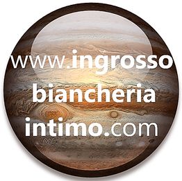 Sfera con immagine planetaria e testo del sito web: www.ingrosso biancheria intimo.com.