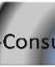 FS-Consulting Steidele Logo