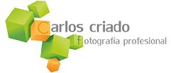 Cubos verdes y naranjas con texto: Carlos Criado, fotografía profesional.