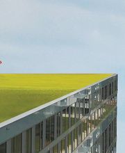 Mann spielt Golf auf Dach mit einem Grün, neben Logo "DENTAN BOSSET", französischem Text sichtbar.