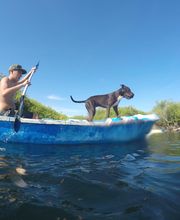 Hombre remando en bote azul con perro a bordo, rodeados de vegetación y cielo despejado.