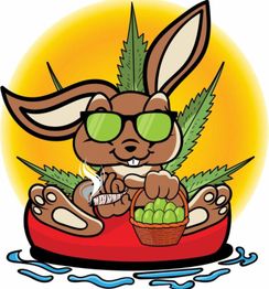 Comic-Hase mit Sonnenbrille, raucht und hält Korb, sitzt vor einem Sonnensymbol mit Blättern.