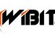 Logo mit Schriftzug "WIBIT GmbH" und abstraktem Design links.