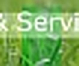 Business Dialog
Training & Services Logo
