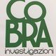 Logo con scritta verde "Cobra Investigazioni" su sfondo bianco.