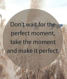 Text on grass background: "Don't wait for the perfect moment, take the moment and make it perfect."