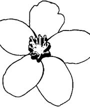 Apfelblüte Style & Accessoires Logo