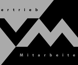 VM Unternehmensberatung Logo
