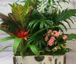 Caja decorativa con plantas verdes y flores rosadas sobre fondo de madera blanca.
