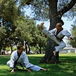 Two martial artists in white uniforms practice kicks and stances in a grassy park.