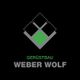 Logo von Gerüstbau Weber Wolf mit einem stilisierten grünen und grauen Diamant-Symbol.