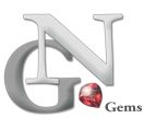 Logo mit Buchstaben "N" und "G", einem roten Edelstein und dem Text "Gems".