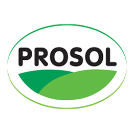 Logo di Prosol con sfondo verde e bianco, scritta in nero all'interno di un'ellisse.