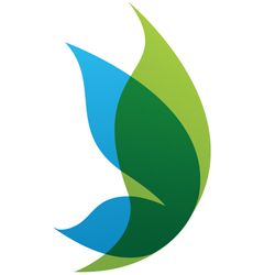 Groen-blauw gestileerd blad, symboliseert natuur en duurzaamheid.