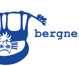 bergner-spinkis Logo
