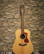 Deine-Gitarre Logo