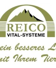 Reico Systemberatung Juliane Hoffmann Logo