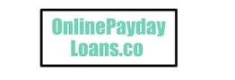Text: "OnlinePaydayLoans.co" in turquoise, centered in a black-bordered rectangle.