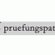 Logo mit rotem Stern und Häkchen, daneben Schriftzug: pruefungspaten.de