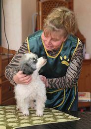 Ältere Frau streichelt einen kleinen Hund auf einem Tisch; beide schauen sich herzlich an.